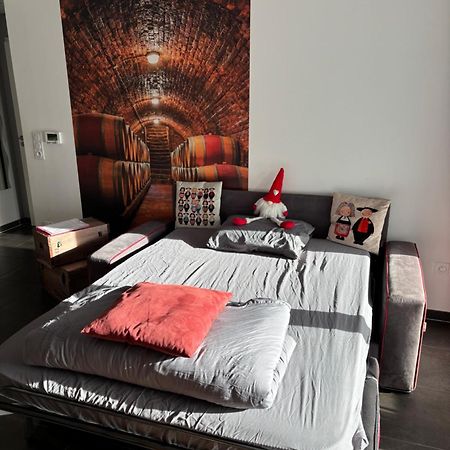 Le Riesling Colmar Centre Charmant Appartement Avec Terrasse Et Parking Gratuit Buitenkant foto