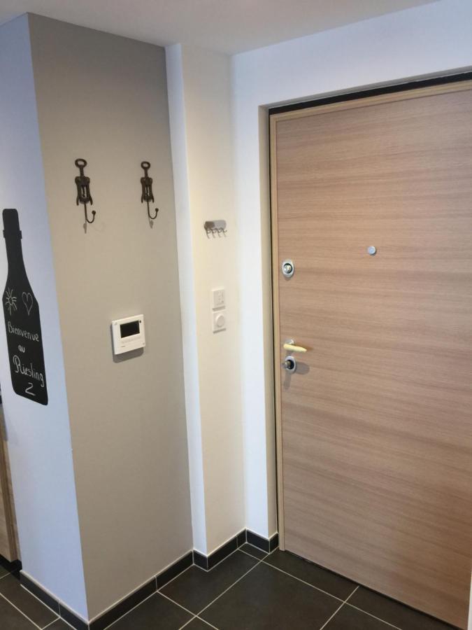 Le Riesling Colmar Centre Charmant Appartement Avec Terrasse Et Parking Gratuit Buitenkant foto