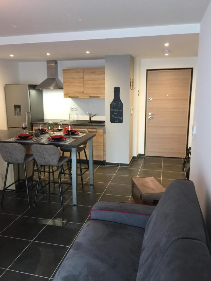 Le Riesling Colmar Centre Charmant Appartement Avec Terrasse Et Parking Gratuit Buitenkant foto