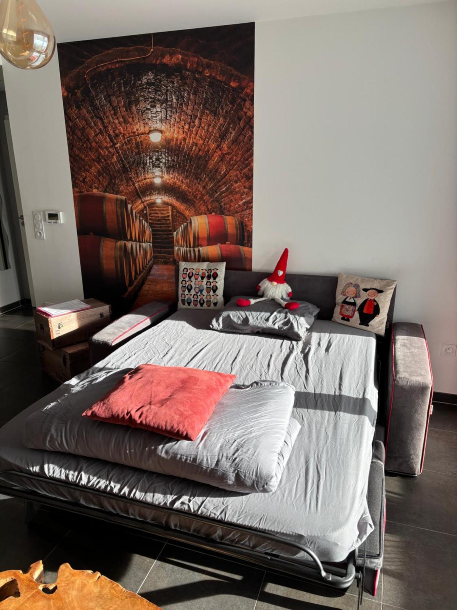 Le Riesling Colmar Centre Charmant Appartement Avec Terrasse Et Parking Gratuit Buitenkant foto